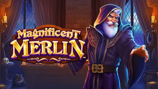 Magnificent Merlin