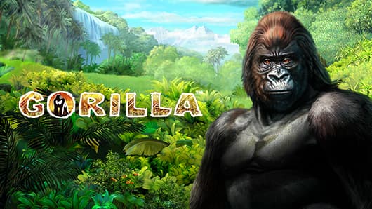 Gorilla™
