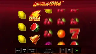 Burning Wild