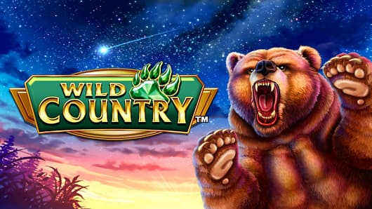 Wild Country