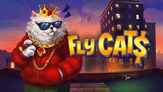 Fly Cats