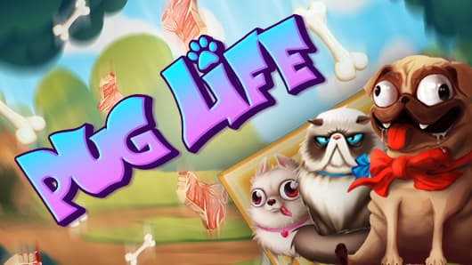 Pug Life