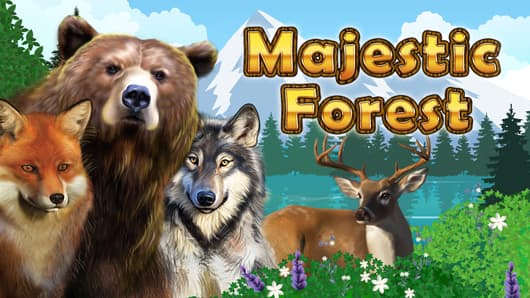 Majestic Forest