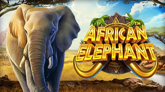 African Elephant