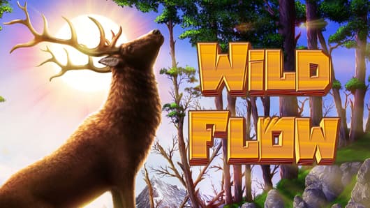 Wild Flow