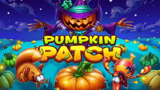 Pumpkin Patch
