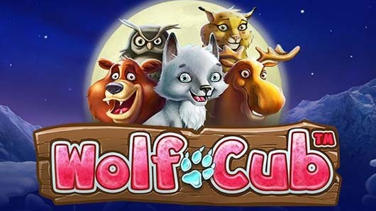 Wolf Cub