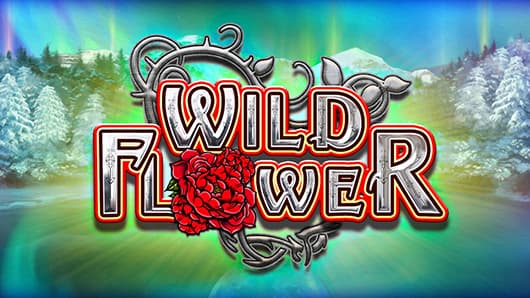 Wild Flower