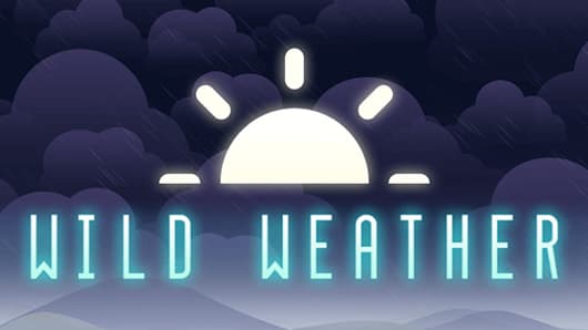 Wild Weather